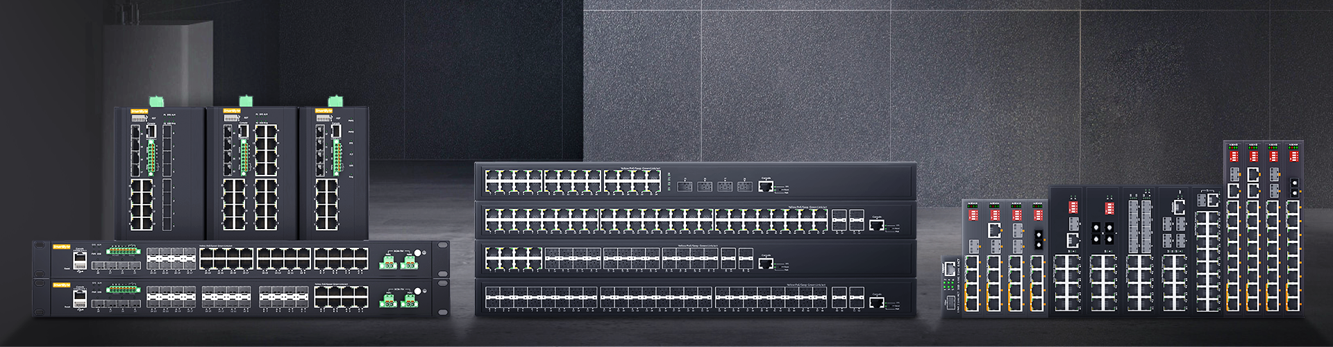 Layer 2+ Managed Ethernet Switches